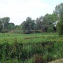 Nature reserves in Belgium
