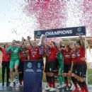 Manchester United W.F.C. seasons