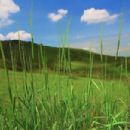 Erebuni State Reserve