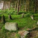 Stone circles in Derbyshire