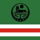 Chechen diaspora