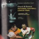 1995 in Gaelic games