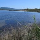 Wetlands of Greece