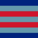 Air chief marshal