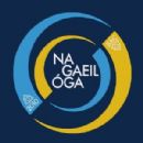 Gaelic Athletic Association clubs established in the 21st century
