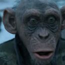 War for the Planet of the Apes (2017) - 454 x 243
