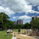 Shepherd's Bush