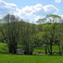 Tributaries of the Regen