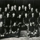 1920 in sports in Illinois