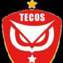 University and college association football clubs in Mexico