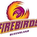 Netball in Queensland