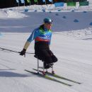 Ukrainian Paralympic medalist stubs