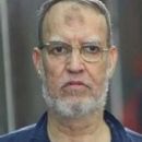 Essam el-Erian