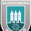 1982 in handball