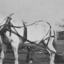 1897 establishments in Iowa