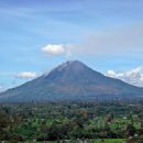 2014 disasters in Indonesia