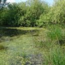 Ramsar sites in the Czech Republic