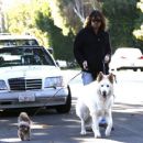 Billy Ray Cyrus takes his dogs out for a relaxing stroll through his neighborhood in Toluca Lake, California on April 4, 2014 - 454 x 376