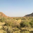 Nagarparkar