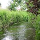 Tributaries of the Ablach
