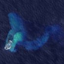 Home Reef
