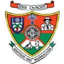 1869 in Gaelic games