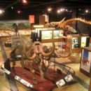 University of Michigan Museum of Natural History