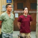 Michelle Borth as Maj. Rebecca Gordon in Combat Hospital