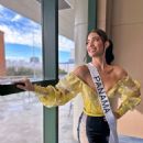 Solaris Barba- Miss Universe 2022- Preliminary Events - 454 x 568