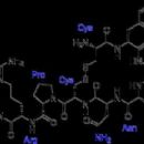 Systemic hormonal preparations