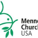 Anabaptist organizations established in the 20th century