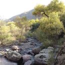 Biosphere reserves of Uzbekistan