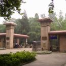 1920s in Nanjing
