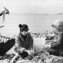 Finnish academics
