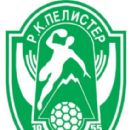 1955 in handball