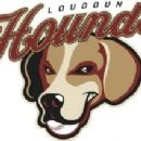 Loudoun Hounds
