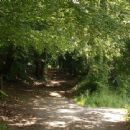 History of Ashford, Kent