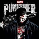 The Punisher (TV series)
