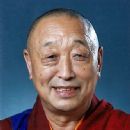 Lungtok Tenpai Nyima