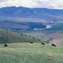 Grasslands of Montana