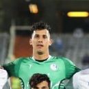 Hossein Pour Hamidi