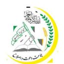 Kurdish Islamic organisations