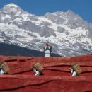 Culture in Sichuan
