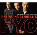 She Drives Me Crazy: Best of - Fine Young Cannibals