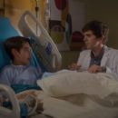 The Good Doctor (2017) - 454 x 255