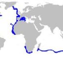 Taxa named by Félix António de Brito Capello