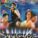 1990s Malayalam-language film stubs