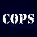 Documentary television series about policing