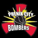 Basketball clubs established in 2012