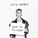 What Do You Mean?